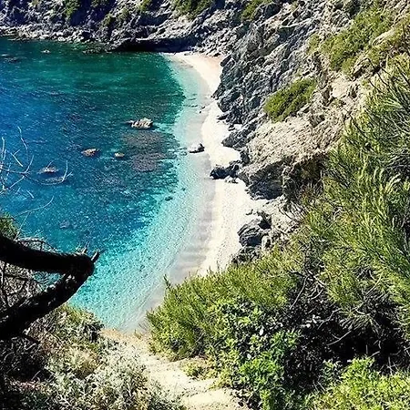 A 400m De La Plage, Piscine Et Climatisation 펜션 *
